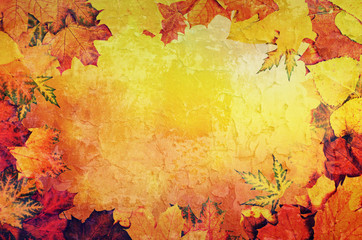 Autumn leaves frame