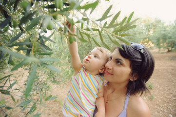 Girl and Olive Tree