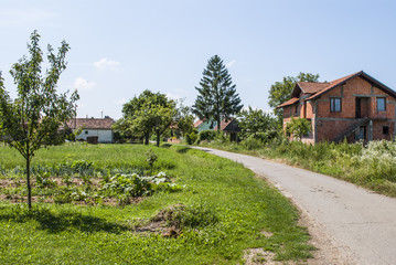 Fototapeta na wymiar Village during summer