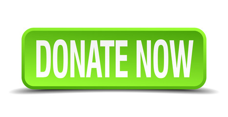 donate now green 3d realistic square isolated button