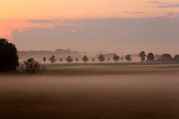 Nebel