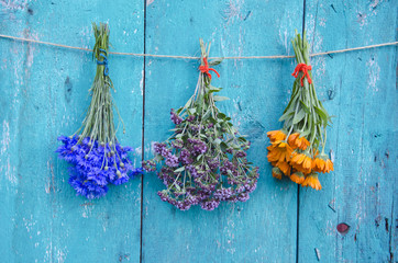 three medical herb flowers bunch on wooden wall