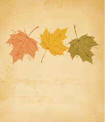 Naklejka na ściany i meble Autumn background with leaves. Vector