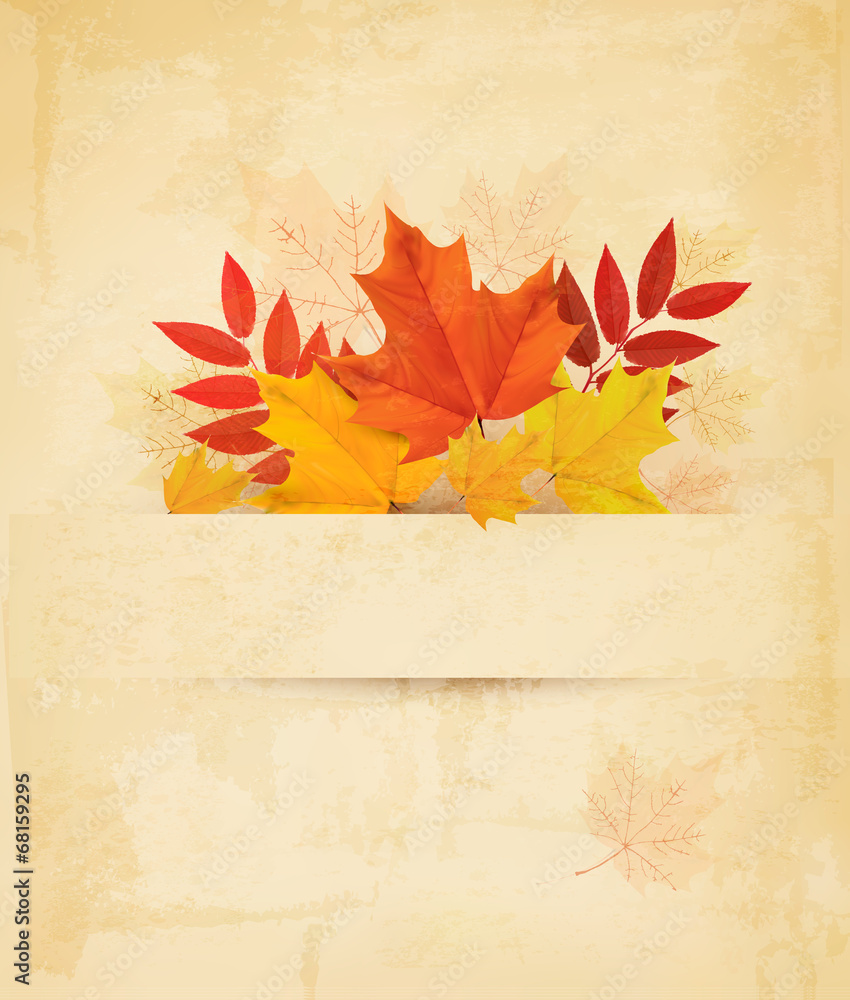 Poster autumn background with leaves. vector.