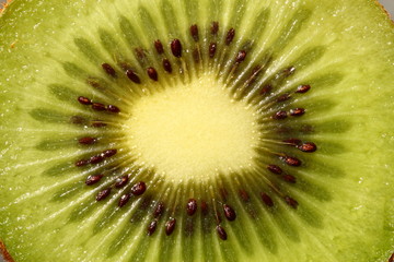 Kiwi 9