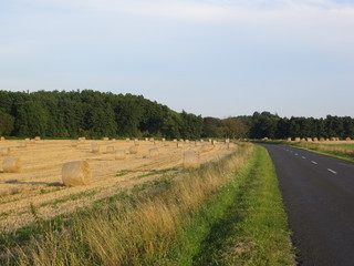 Road next to straw bales