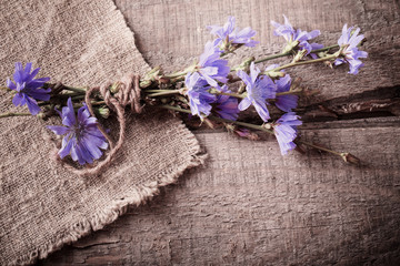 blue chicory flowers on wooden background