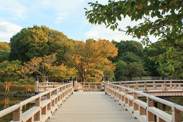Bridge in Park
