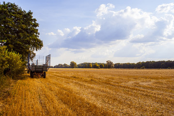 Fototapeta premium Wagon on cultivated land