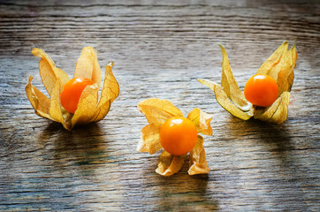 physalis