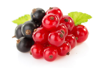 black and red currants on white