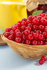 red currants in bowl