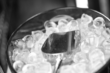 Eiswürfelbehälter mit Schaufel