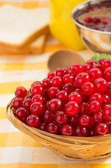 red currants in bowl