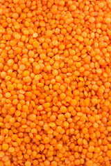red lentil as background