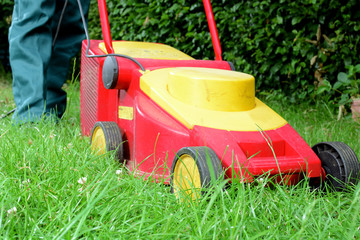 Fototapeta premium Gärtner mäht Wiese mit Rasenmäher