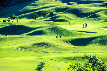 Golf club with nice green