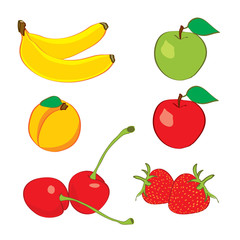Colorful fruits in hand drawn sketch
