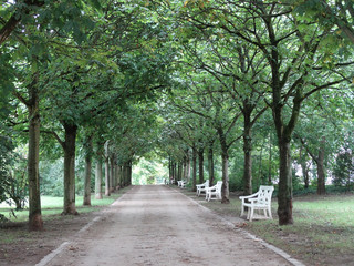 Parque