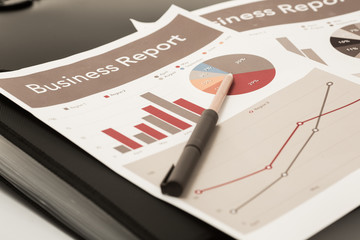 Business graph analysis report. Accounting