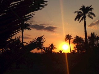 Fototapeta premium Rayos de sol