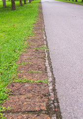 Obraz premium Stone pathway into garden