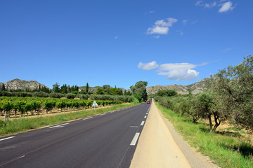 Road to foothill of Alpe mountain, Provence