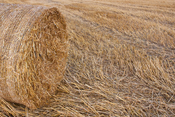 Strohball und Strohreste auf dem Feld