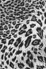 texture of fabric stripes leopard