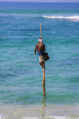 Pêcheur sur échasse , Sri Lanka