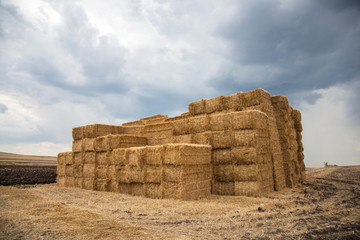 Straw Bales - Stock Photo