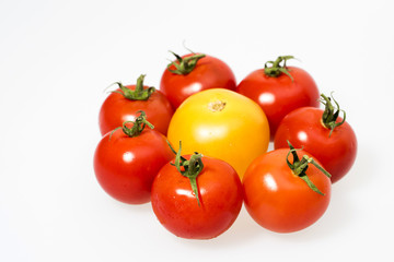 Tomaten