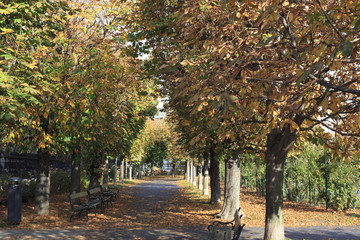 Autumn in a park