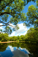 Obraz premium Lake of the Woods