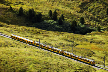 Jungfrau Bahn descending from Kleine Scheidegg, Switzerland