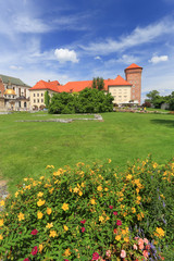 Fototapeta na wymiar Cracow - Wawel