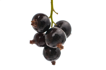 Blackcurrants