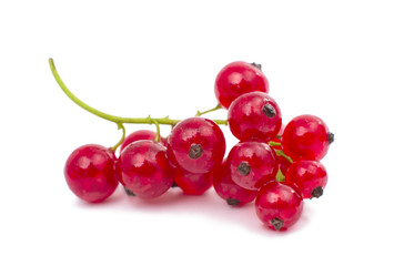 red currant