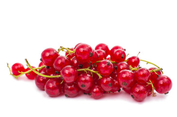 red currant