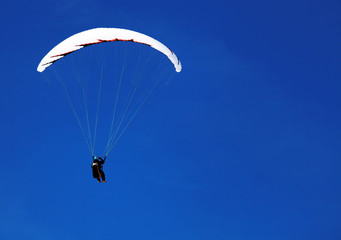 Paragliding over the Swiss Alps