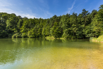 Summer landscape at the lake and forest with mirror reflection