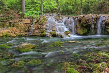 Beusnita stream, Romania