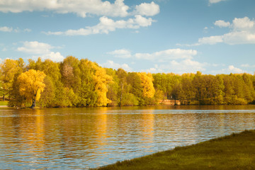 sky could be seen through the trees of the park