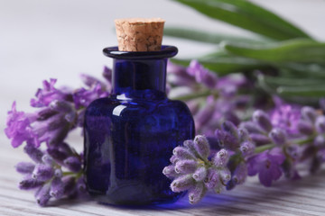 Obraz na płótnie Canvas aromatic lavender oil in the blue bottle and flowers close-up