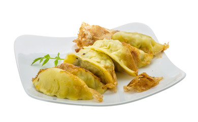 Japan dumplings - gyoza