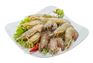 Raw tiger shrimps