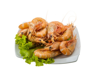 Big tiger shrimps