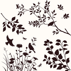 Fototapeta premium Nature elements