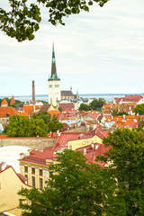 Obraz premium Tallinn