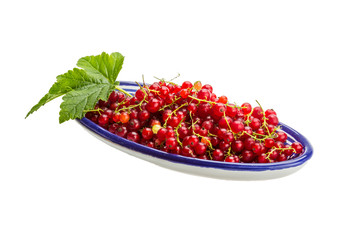 Red currant